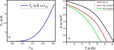 Theoretical investigation of the Co-occurrence of superconductivity and antiferromagnetism in iron-based high-temperature superconductors
